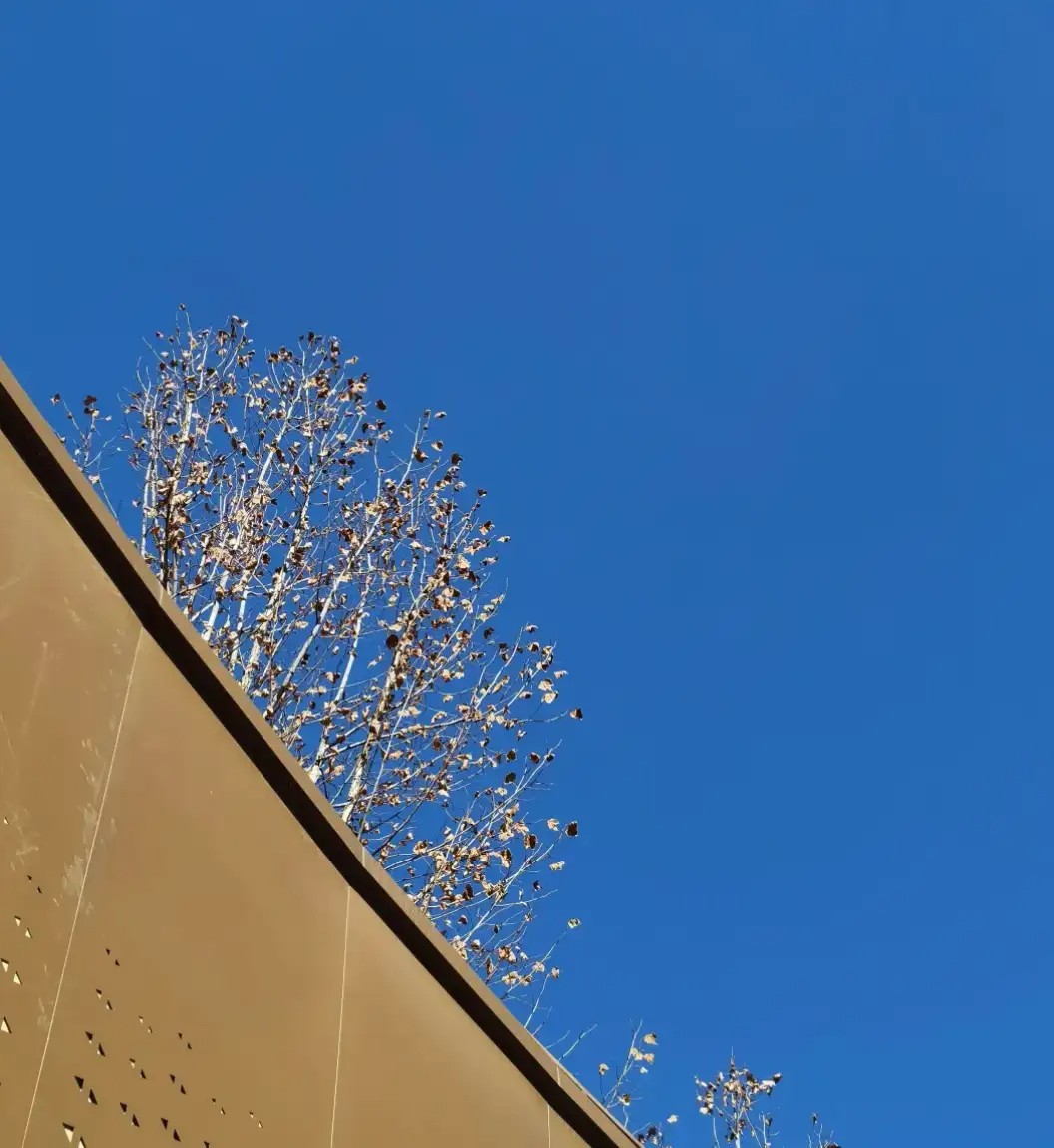 他自认赌博可控，但现实不是你想